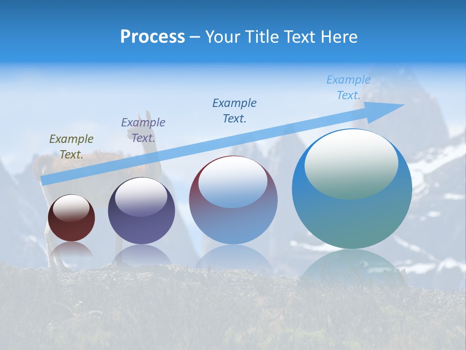 Wild Rock Wildlife PowerPoint Template