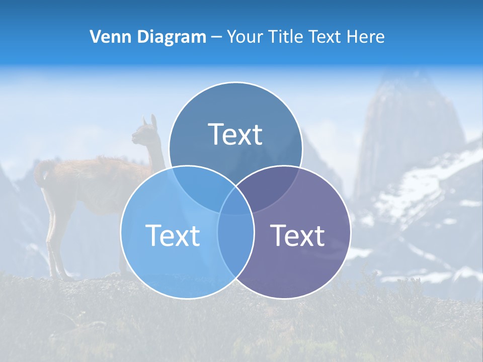 Wild Rock Wildlife PowerPoint Template