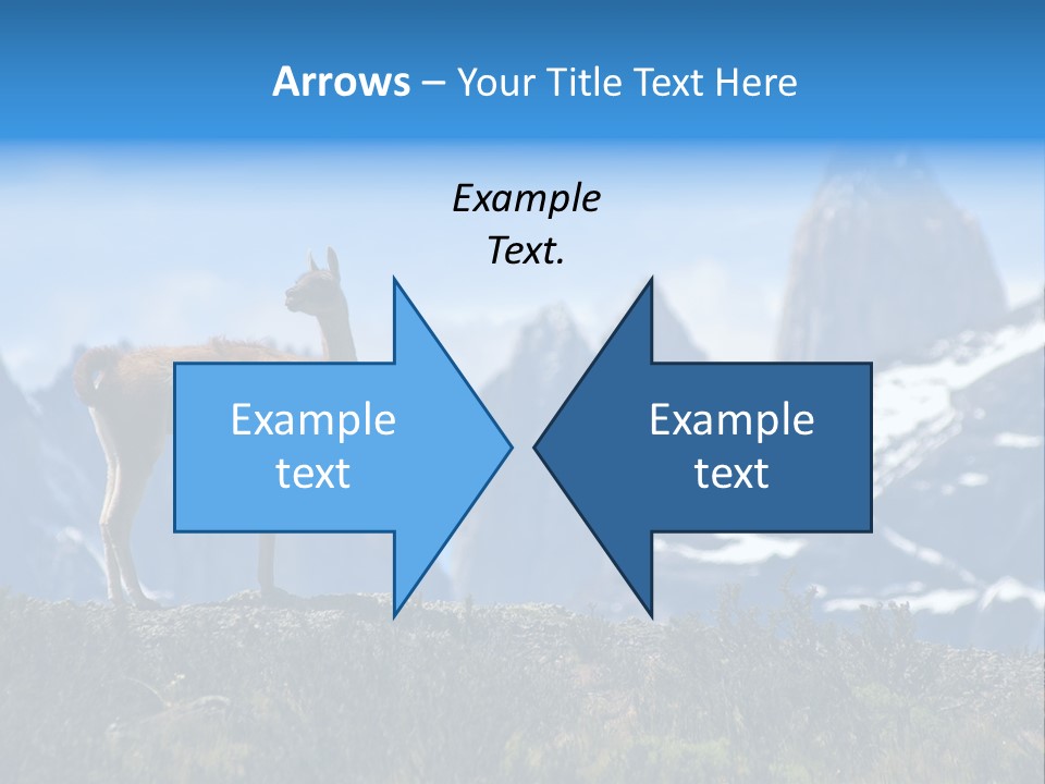 Wild Rock Wildlife PowerPoint Template