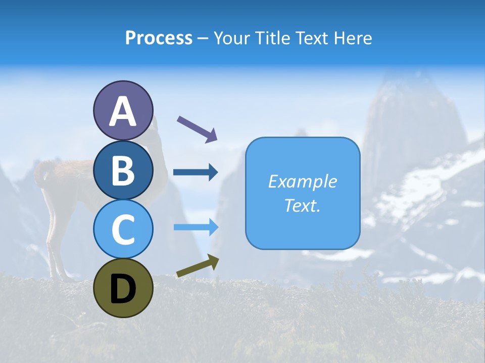 Wild Rock Wildlife PowerPoint Template