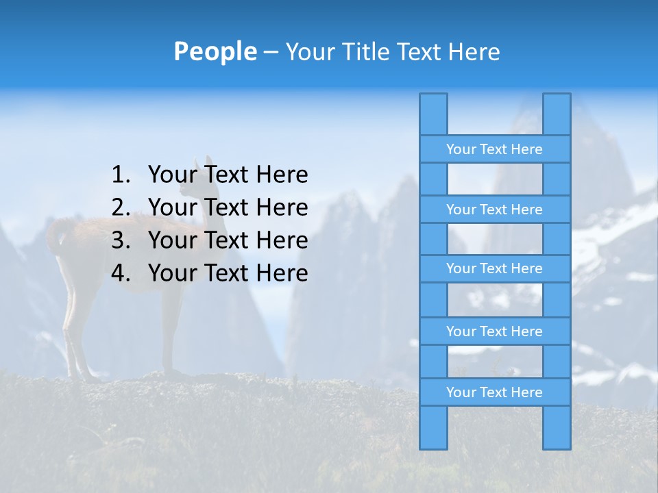 Wild Rock Wildlife PowerPoint Template
