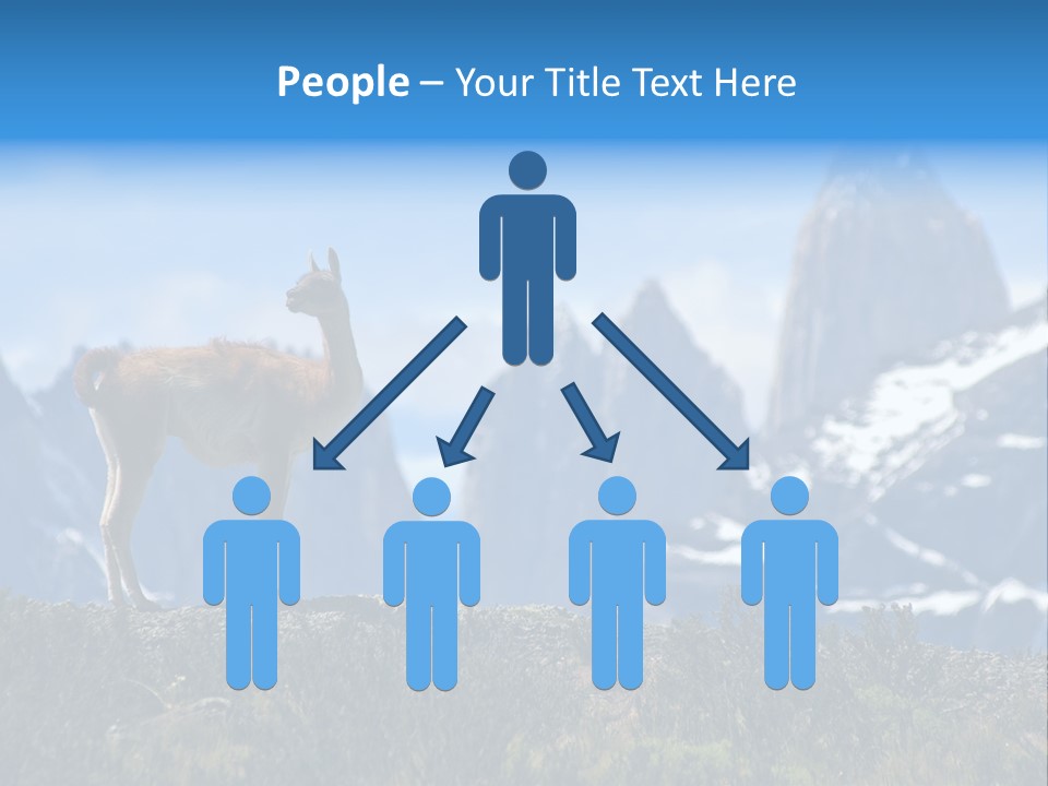 Wild Rock Wildlife PowerPoint Template