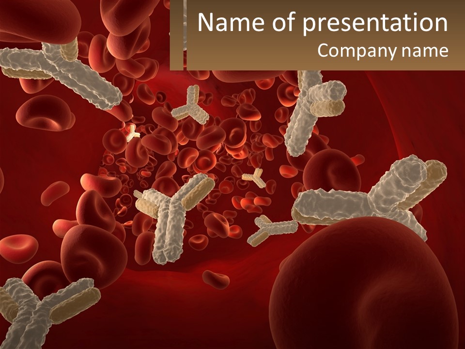 Protection Vascular Antibody PowerPoint Template