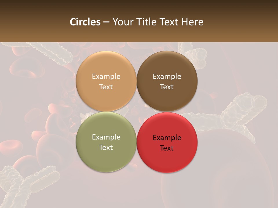 Protection Vascular Antibody PowerPoint Template