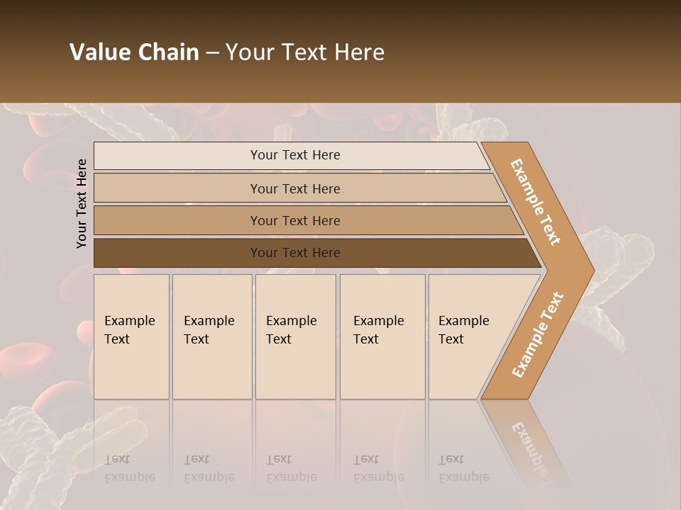 Protection Vascular Antibody PowerPoint Template