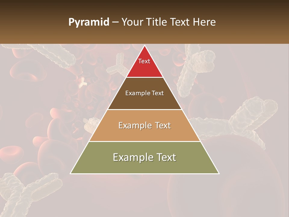 Protection Vascular Antibody PowerPoint Template