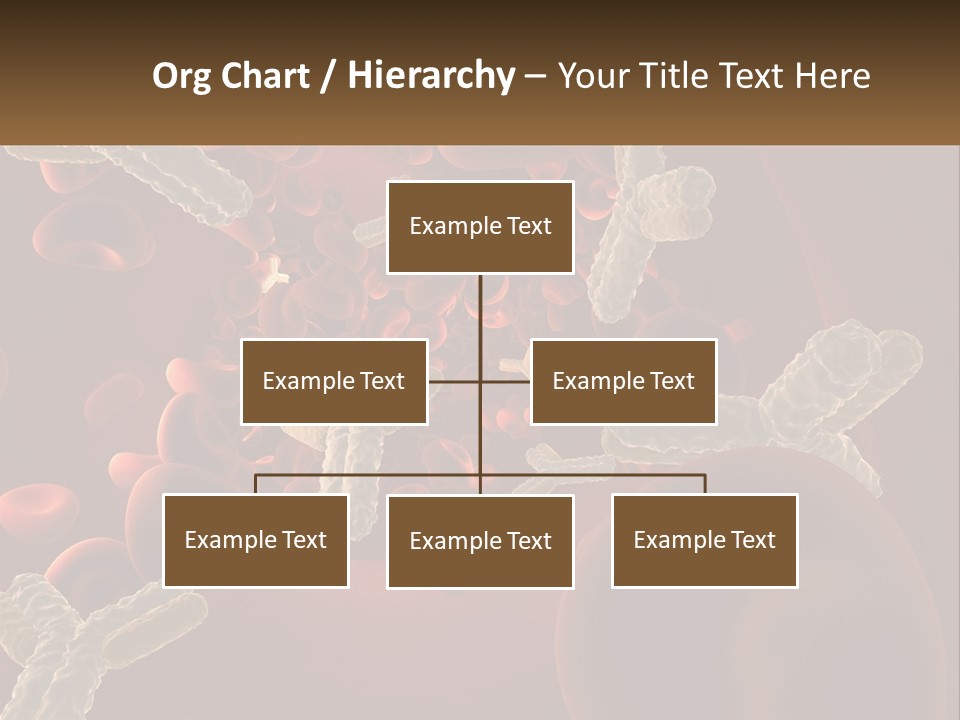 Protection Vascular Antibody PowerPoint Template
