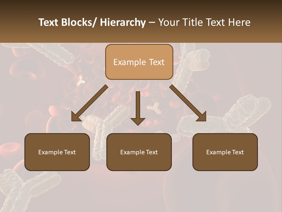 Protection Vascular Antibody PowerPoint Template