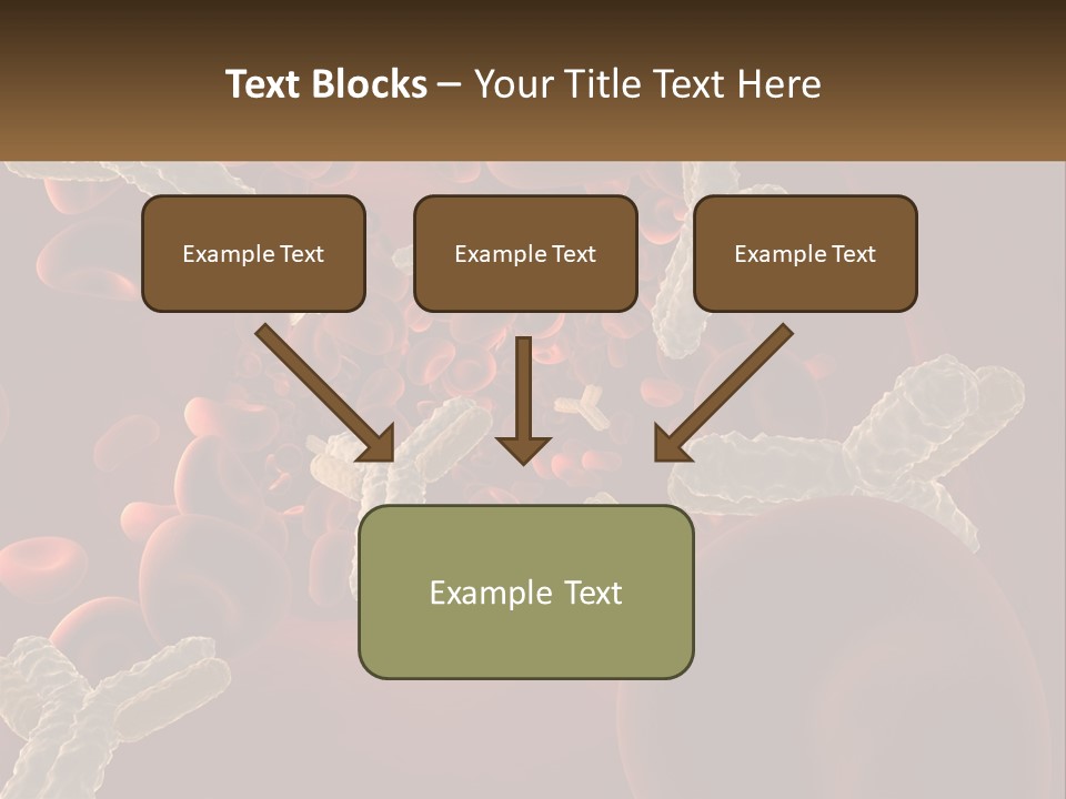 Protection Vascular Antibody PowerPoint Template