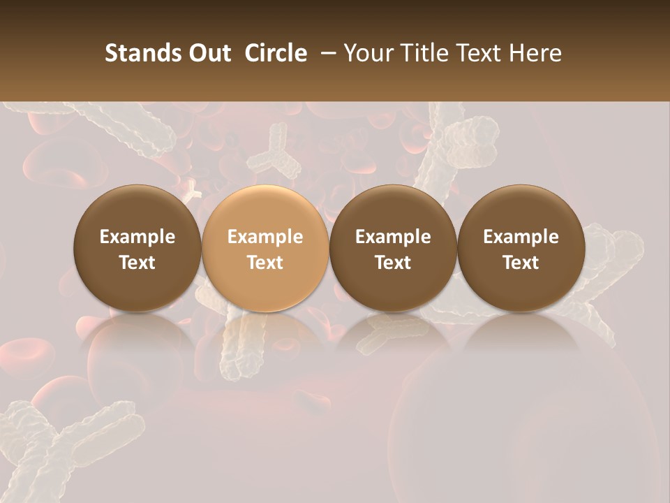 Protection Vascular Antibody PowerPoint Template