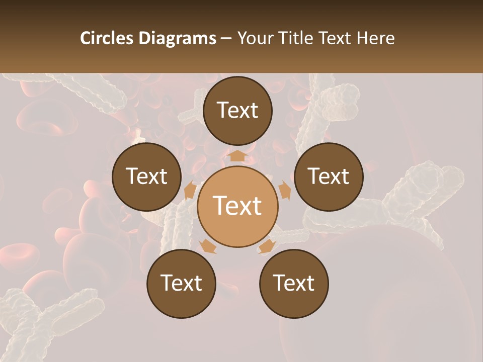 Protection Vascular Antibody PowerPoint Template