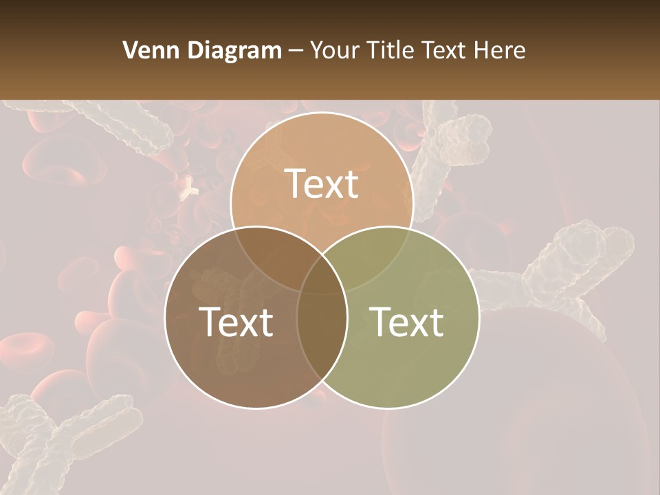 Protection Vascular Antibody PowerPoint Template