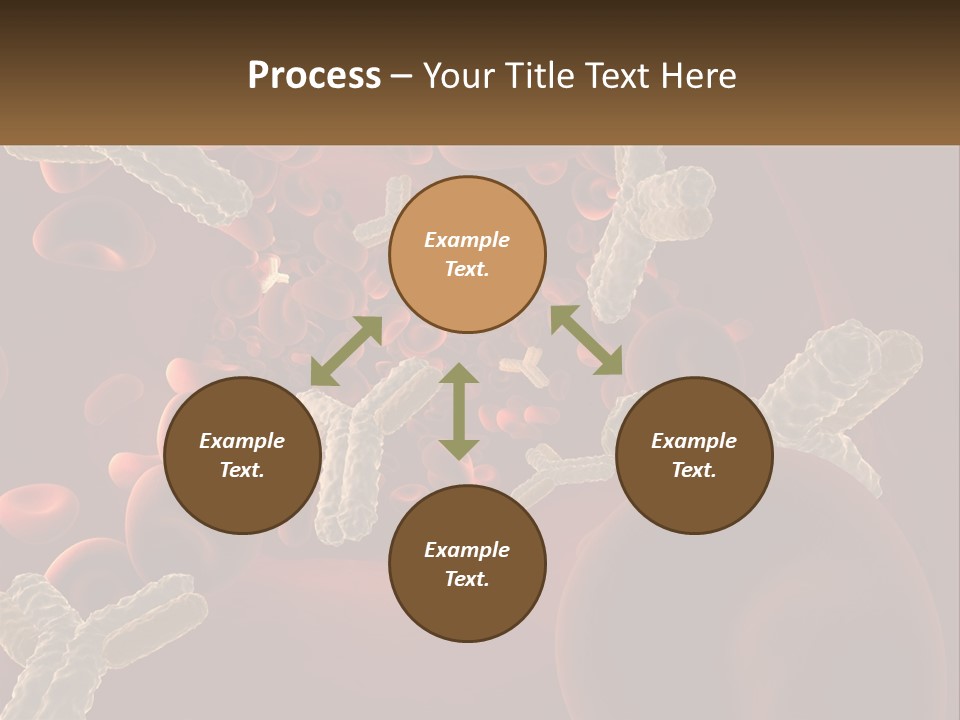 Protection Vascular Antibody PowerPoint Template