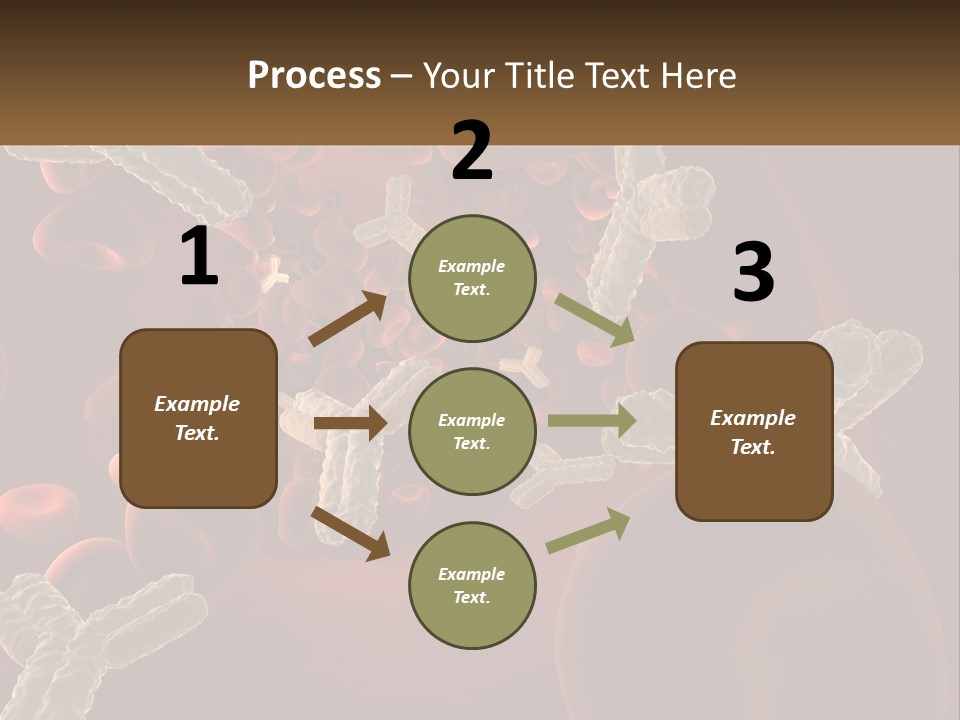 Protection Vascular Antibody PowerPoint Template
