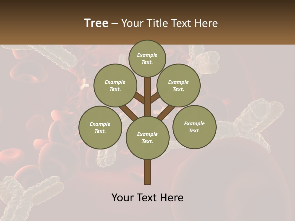 Protection Vascular Antibody PowerPoint Template