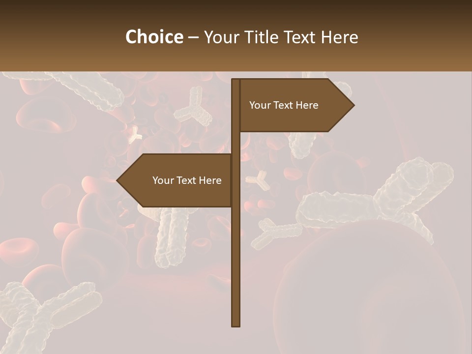 Protection Vascular Antibody PowerPoint Template