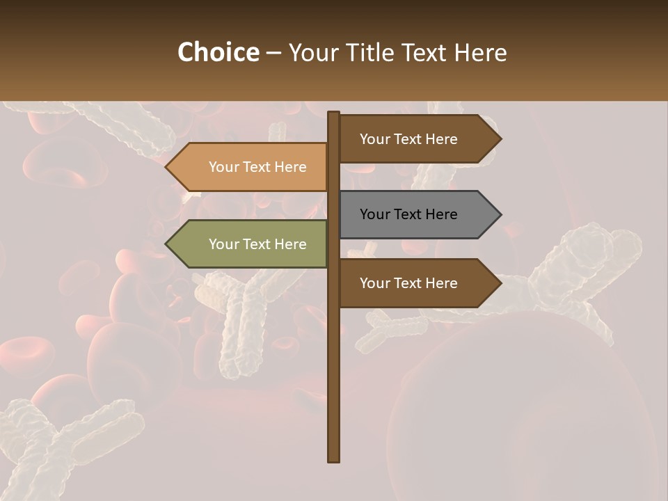 Protection Vascular Antibody PowerPoint Template