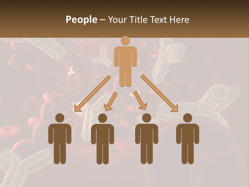 Protection Vascular Antibody PowerPoint Template