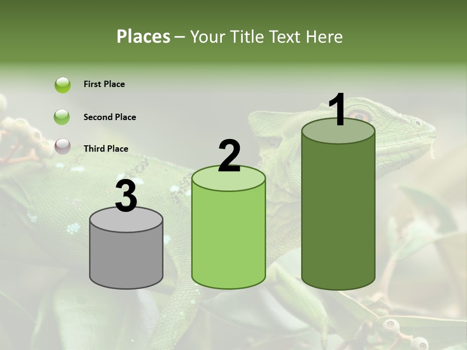 Rainforest America Jesus PowerPoint Template