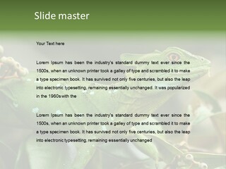 Rainforest America Jesus PowerPoint Template