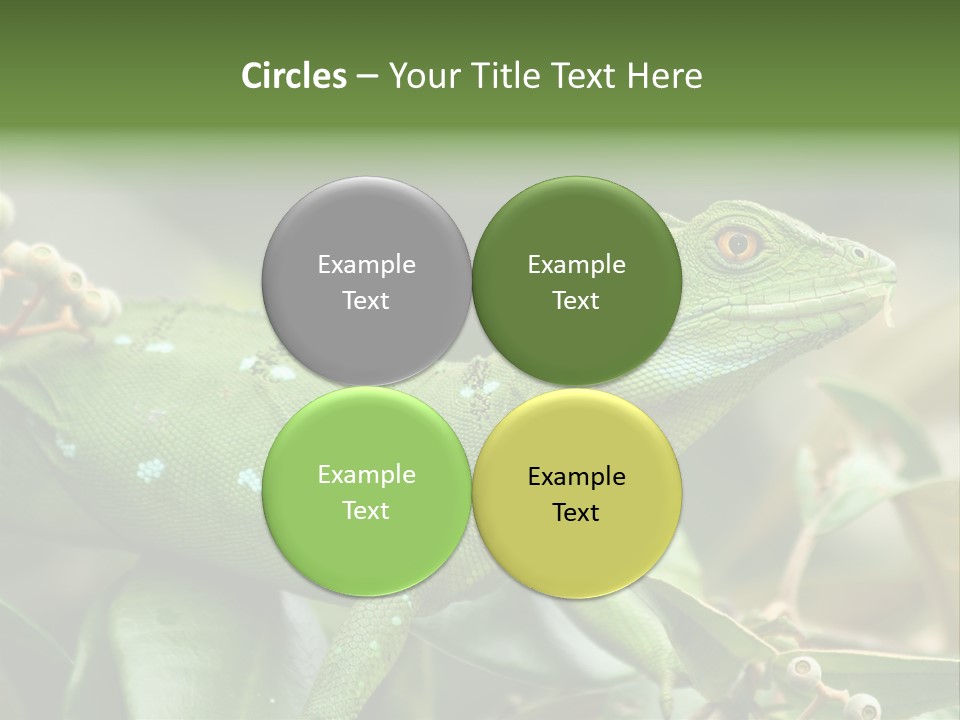 Rainforest America Jesus PowerPoint Template