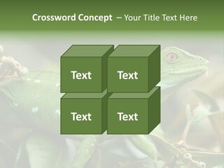 Rainforest America Jesus PowerPoint Template