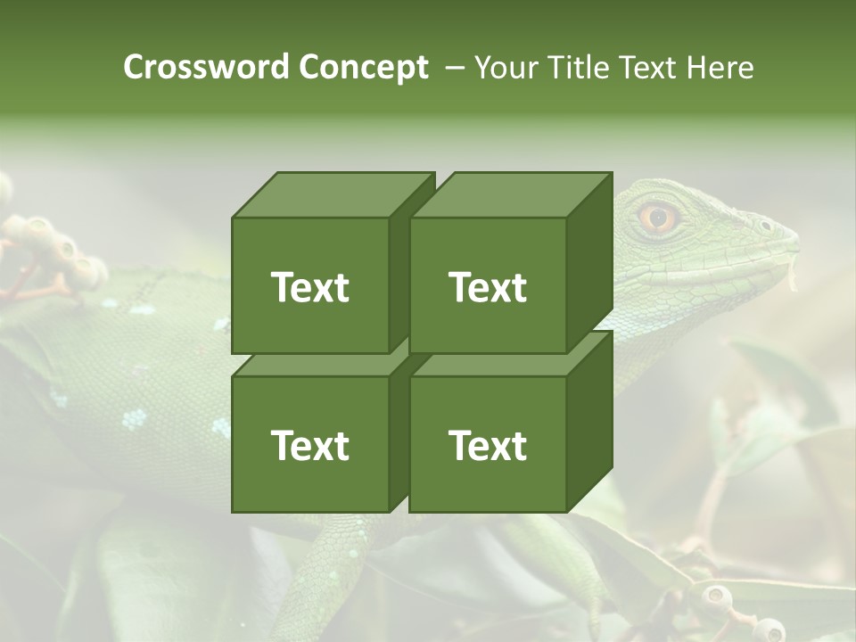 Rainforest America Jesus PowerPoint Template