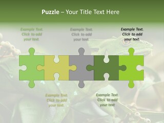 Rainforest America Jesus PowerPoint Template