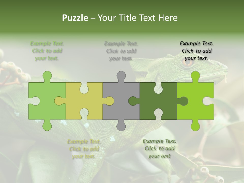 Rainforest America Jesus PowerPoint Template