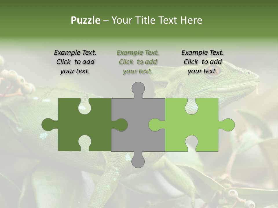 Rainforest America Jesus PowerPoint Template