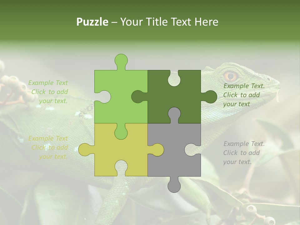 Rainforest America Jesus PowerPoint Template