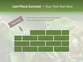 Rainforest America Jesus PowerPoint Template