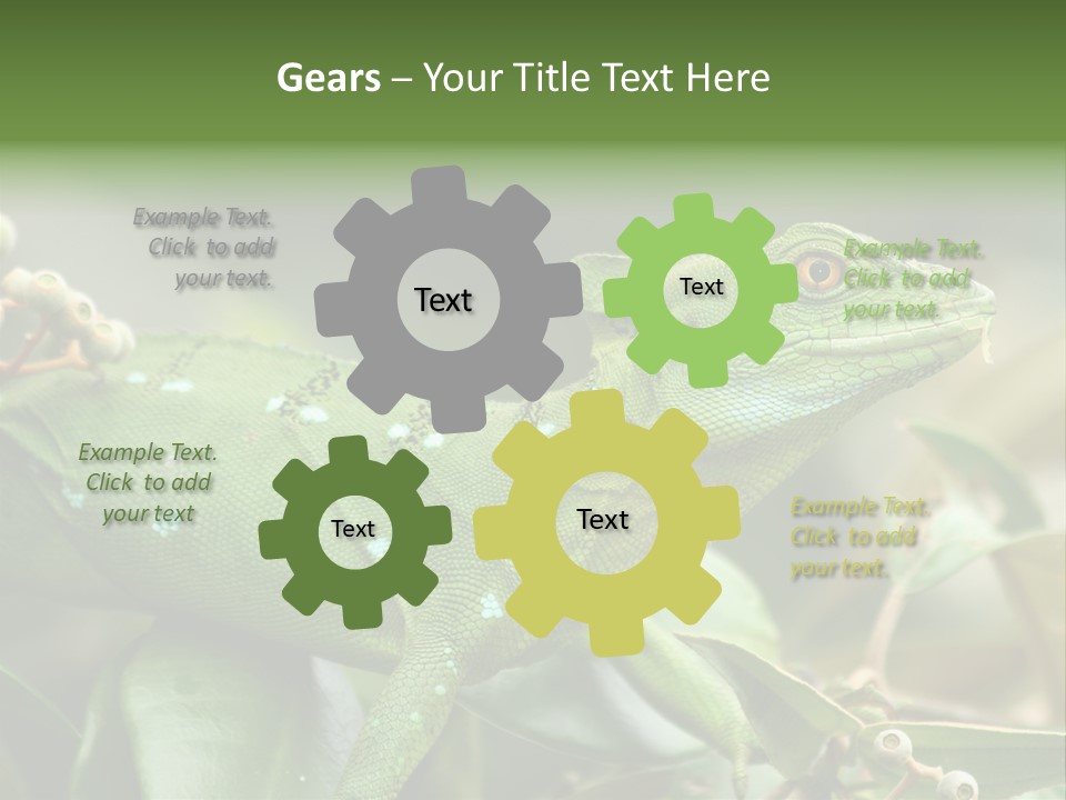 Rainforest America Jesus PowerPoint Template