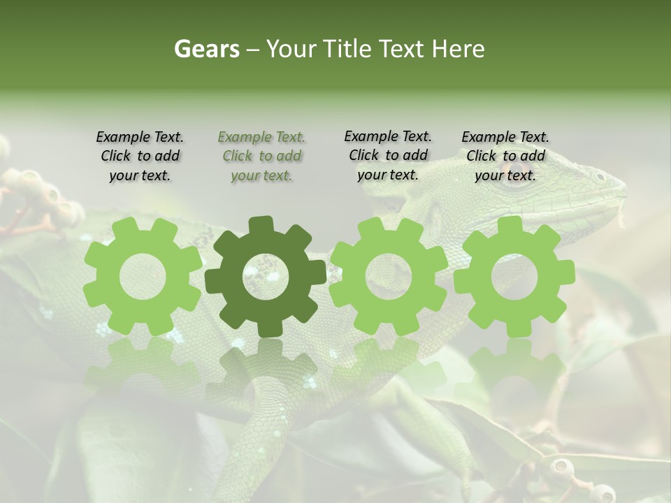 Rainforest America Jesus PowerPoint Template