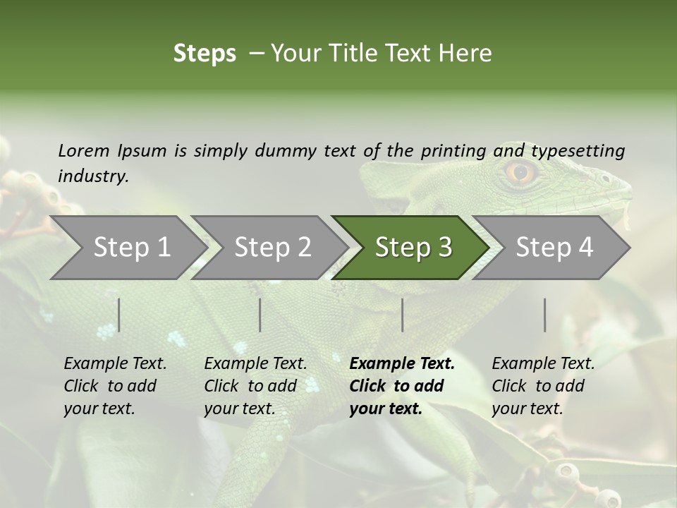 Rainforest America Jesus PowerPoint Template