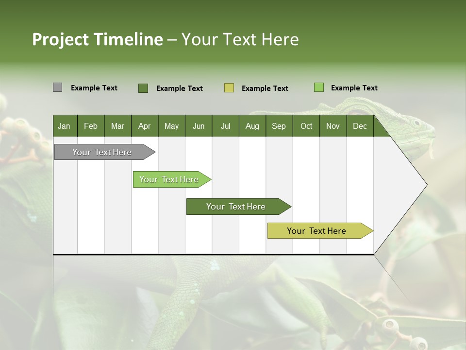 Rainforest America Jesus PowerPoint Template