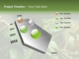 Rainforest America Jesus PowerPoint Template