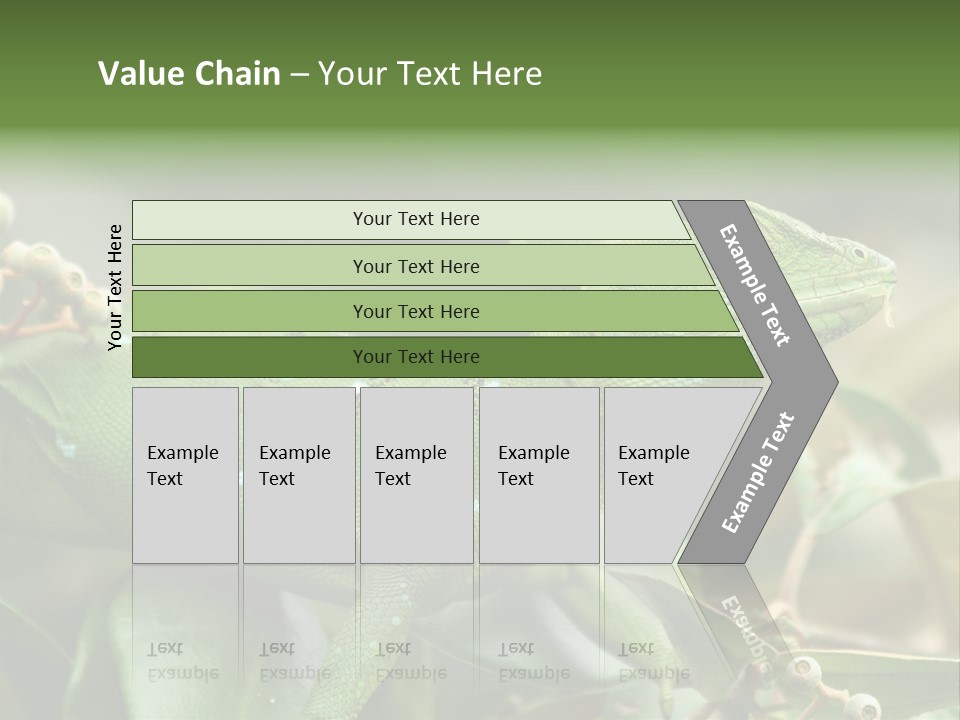 Rainforest America Jesus PowerPoint Template