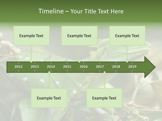 Rainforest America Jesus PowerPoint Template