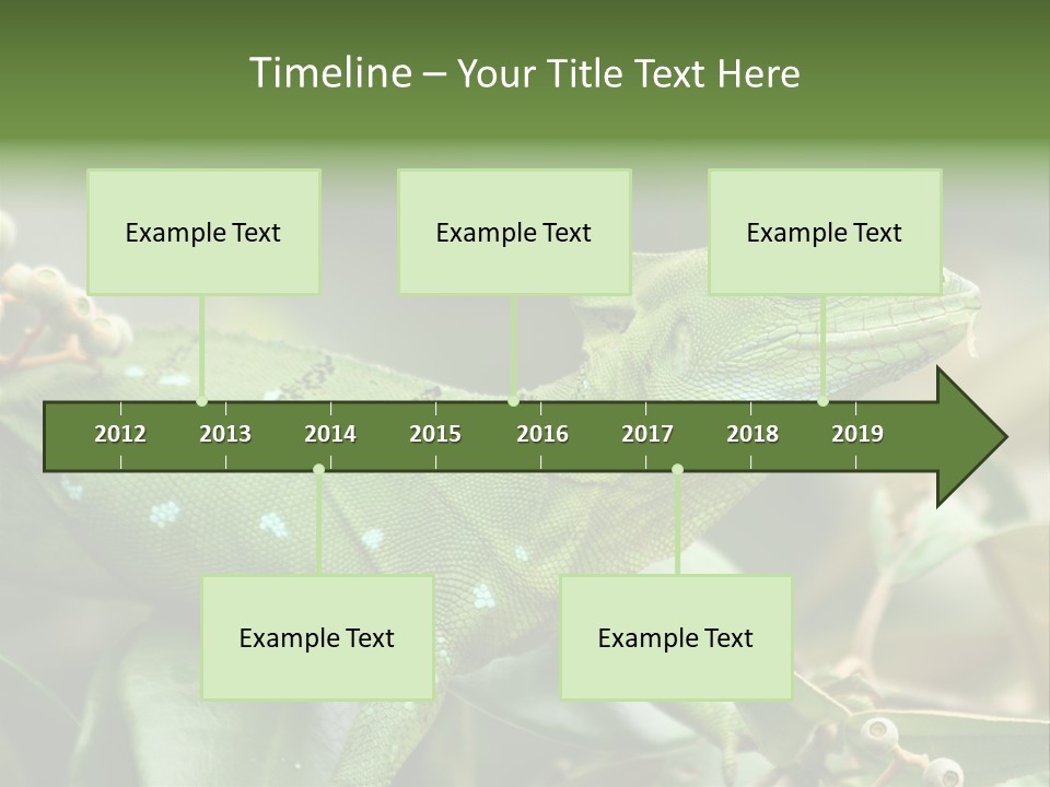 Rainforest America Jesus PowerPoint Template