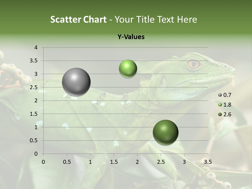 Rainforest America Jesus PowerPoint Template