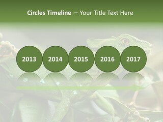 Rainforest America Jesus PowerPoint Template