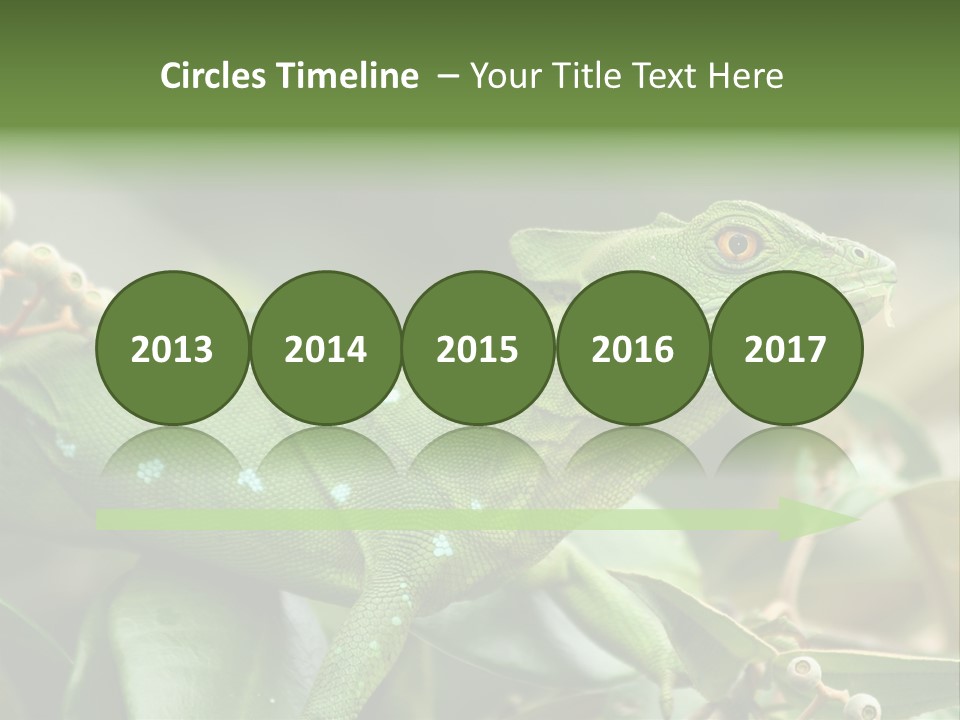 Rainforest America Jesus PowerPoint Template