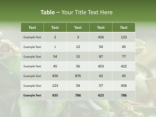 Rainforest America Jesus PowerPoint Template