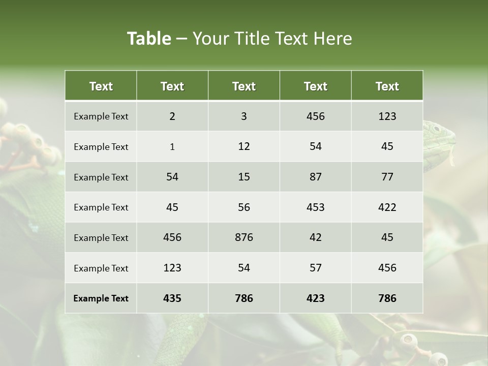 Rainforest America Jesus PowerPoint Template