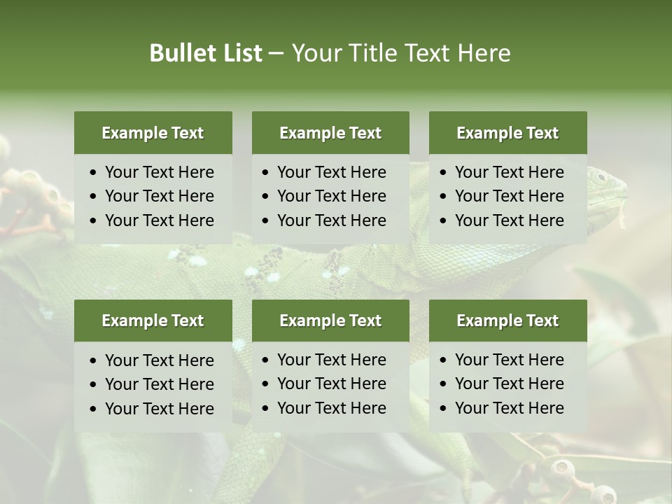 Rainforest America Jesus PowerPoint Template