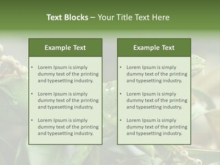 Rainforest America Jesus PowerPoint Template