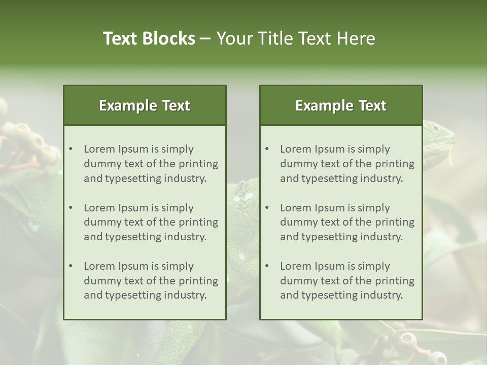 Rainforest America Jesus PowerPoint Template