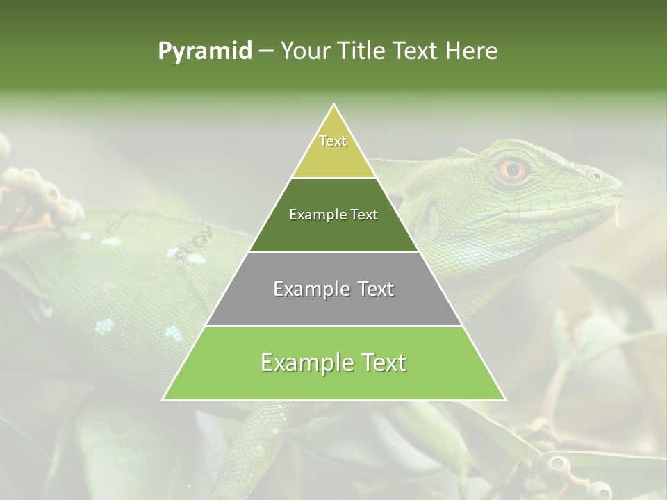 Rainforest America Jesus PowerPoint Template