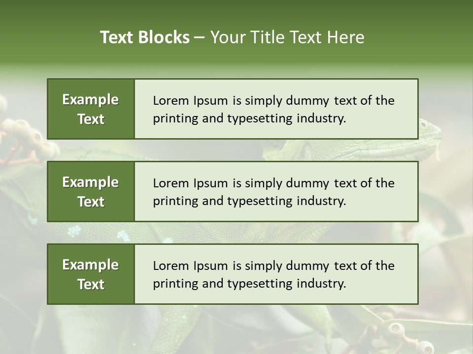 Rainforest America Jesus PowerPoint Template